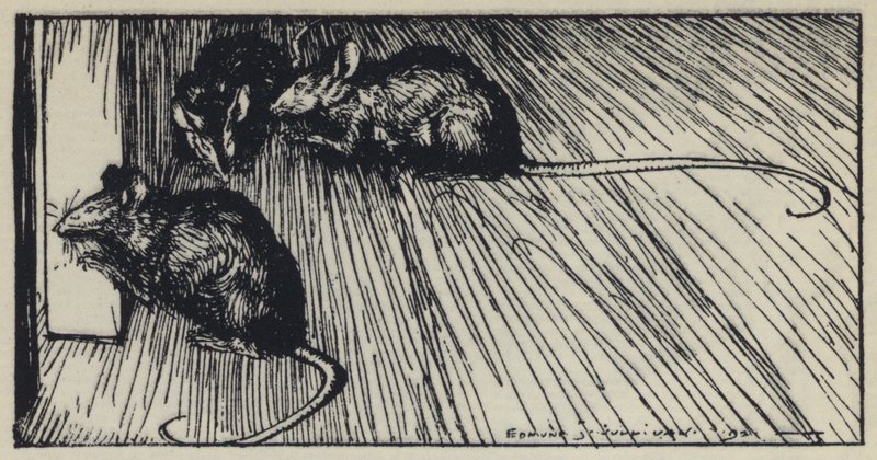 Ilustrace pro Tennysons Maud od Edmund Joseph after Sullivan