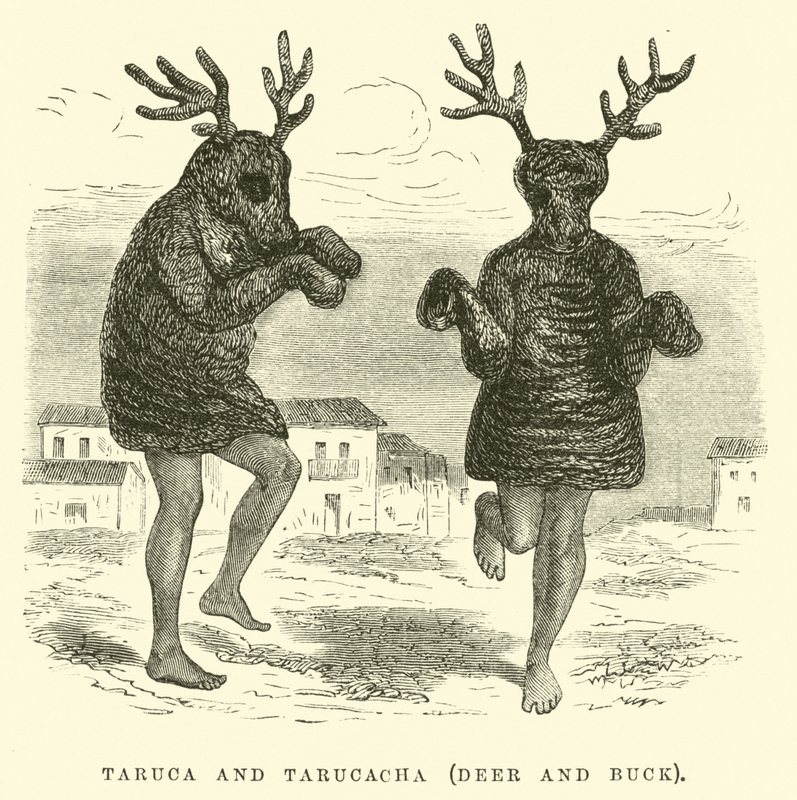Taruca a Tarucacha, jelen a jelen od Edouard Riou