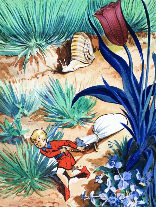 Příběh Tom Thumb od Eduardo Teixeira Coelho