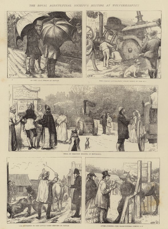 Setkání Královské zemědělské společnosti ve Wolverhamptonu od Edward Frederick Brewtnall