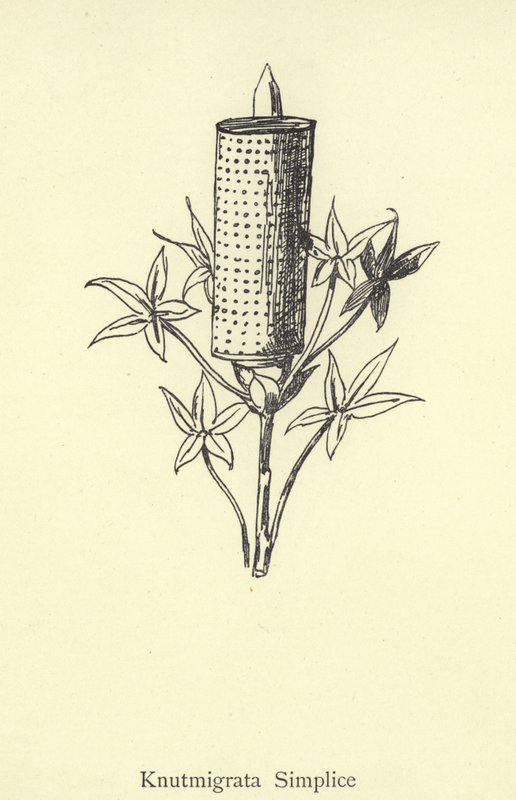 Knutmigrata Jednoduché od Edward Lear
