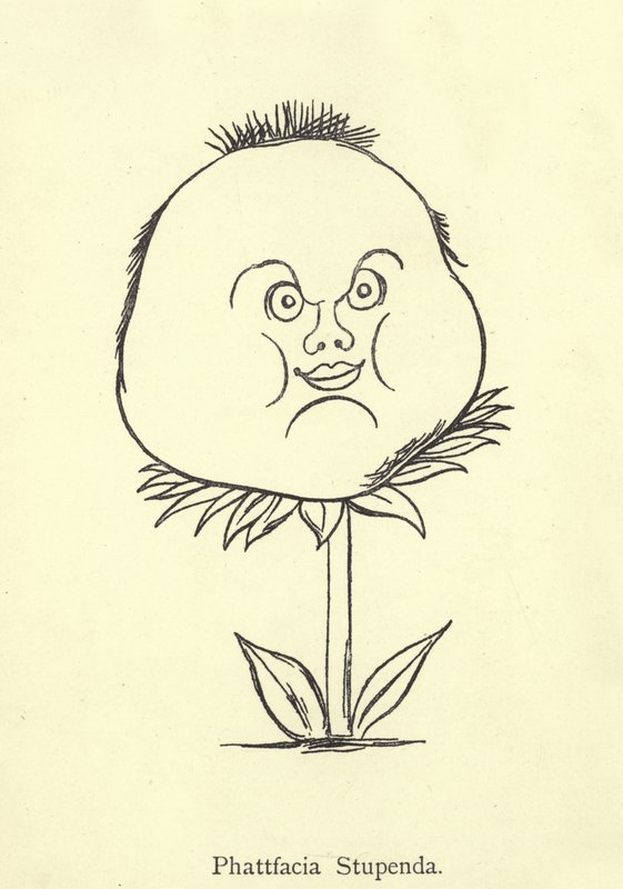 Skvělá Phattfacia od Edward Lear