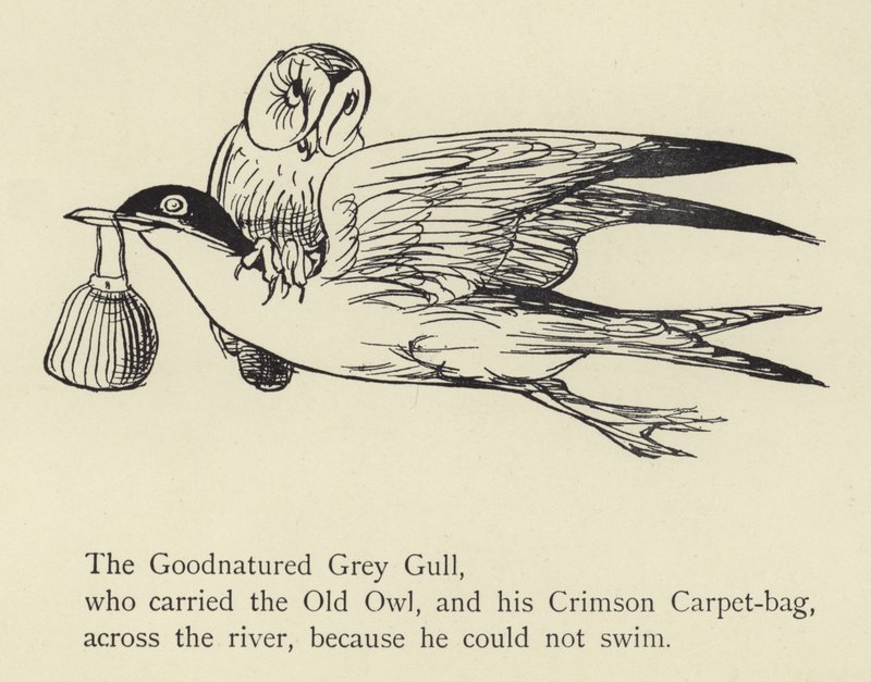 Dobromyslný šedý racek od Edward Lear