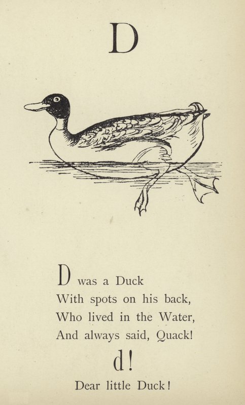 Písmeno D od Edward Lear