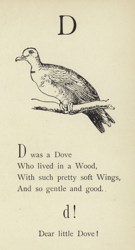 Písmeno D od Edward Lear
