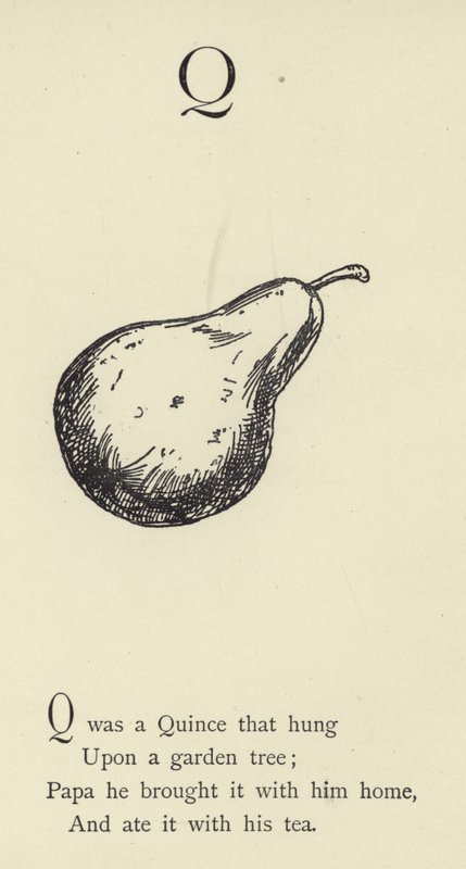 Písmeno Q od Edward Lear