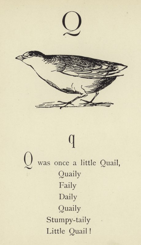 Písmeno Q od Edward Lear