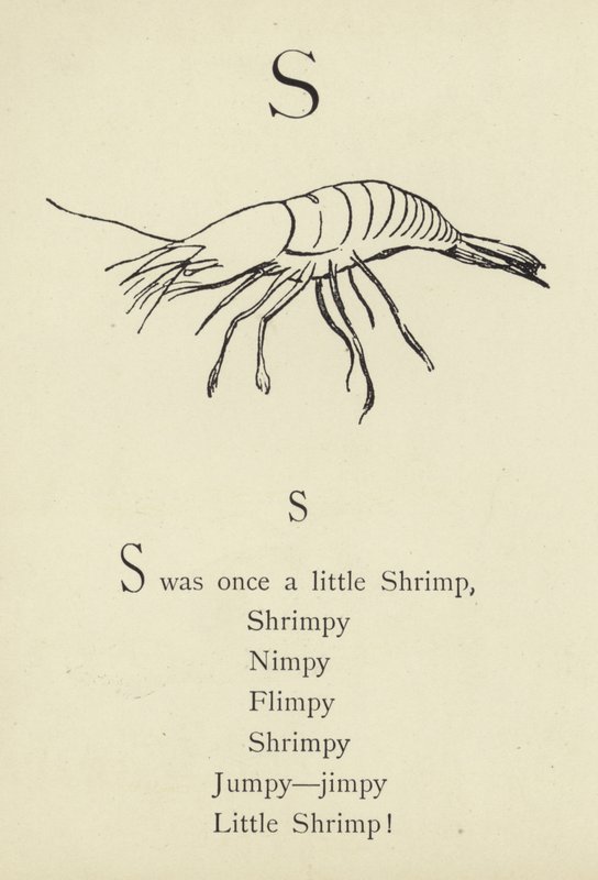 Dopisy od Edward Lear