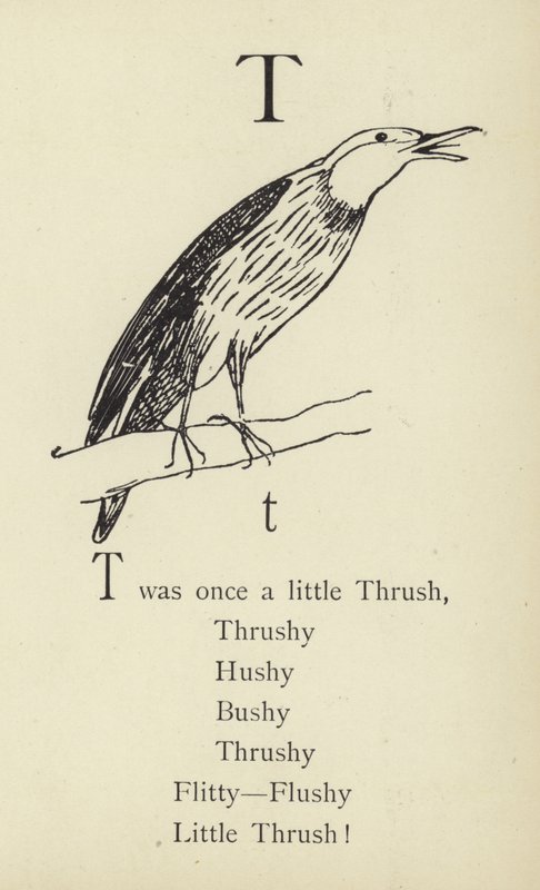 Písmeno T od Edward Lear