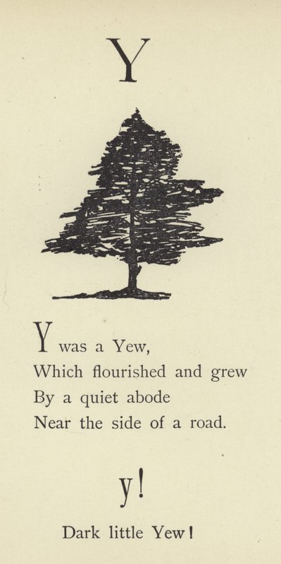 Písmeno Y od Edward Lear