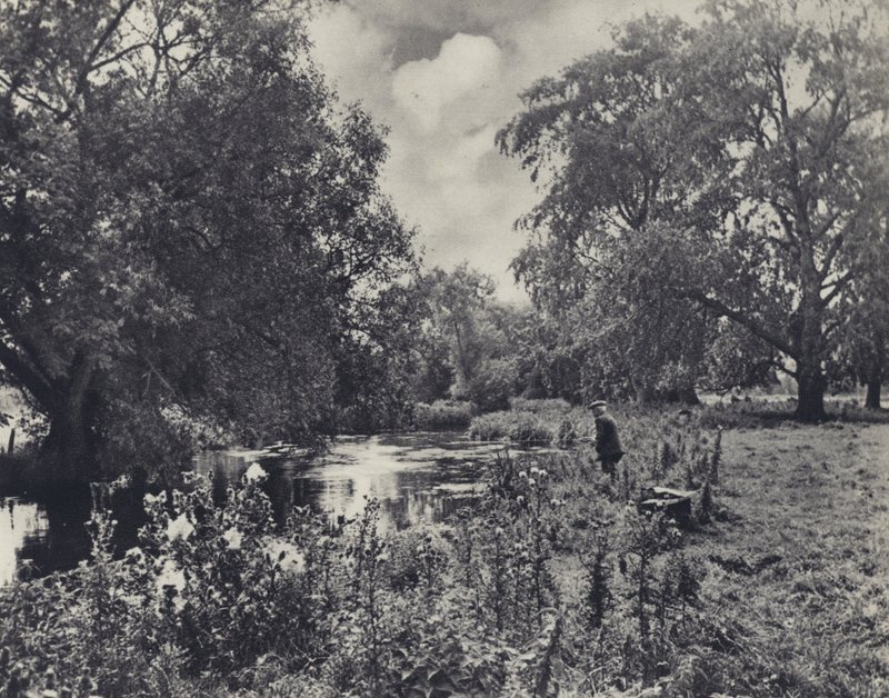 Přerušený oběd (čb fotografie) od Edward Alfred Barton