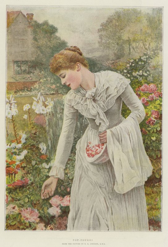 Potpourri od Edward Killingworth Johnson