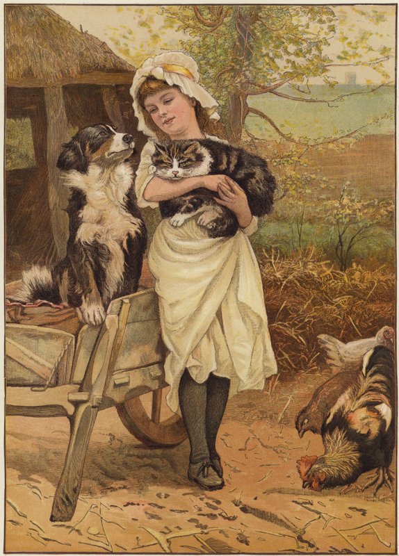 Rivalové od Edward Killingworth Johnson