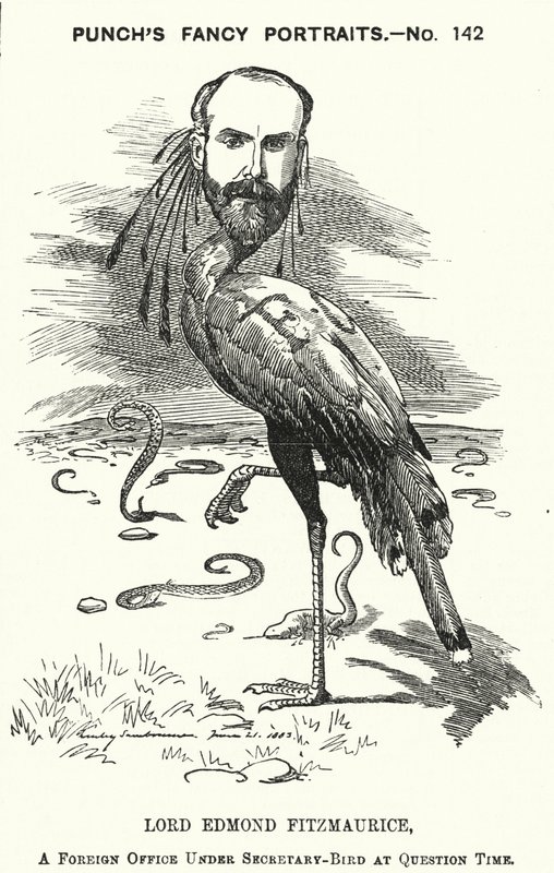 Punč karikatura: Edmond Fitzmaurice od Edward Linley (after) Sambourne