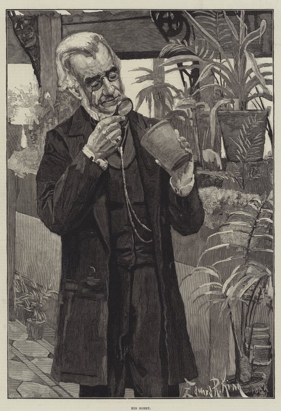 Jeho Koníček od Edward R. King