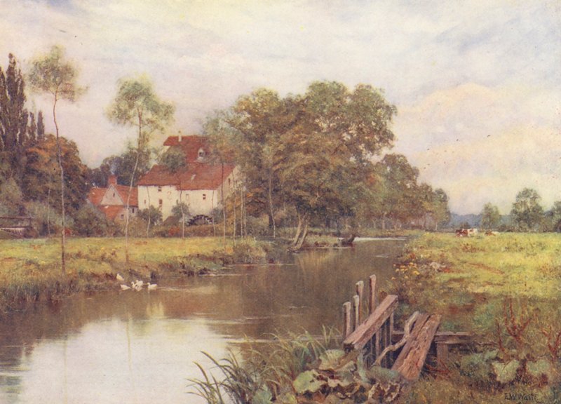 Na rozkvetlé louce (barevná litografie) od Edward Wilkins Waite
