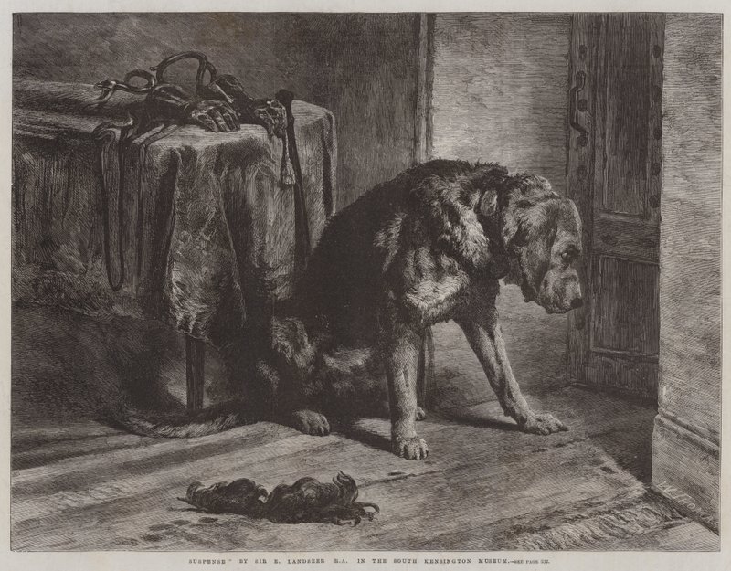 Napětí od Edwin Landseer