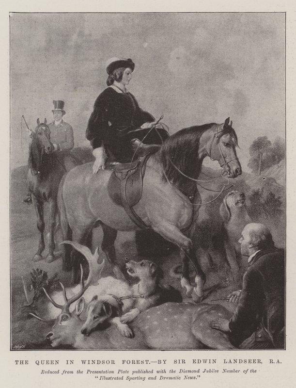 Královna ve Windsorském lese od Edwin Landseer