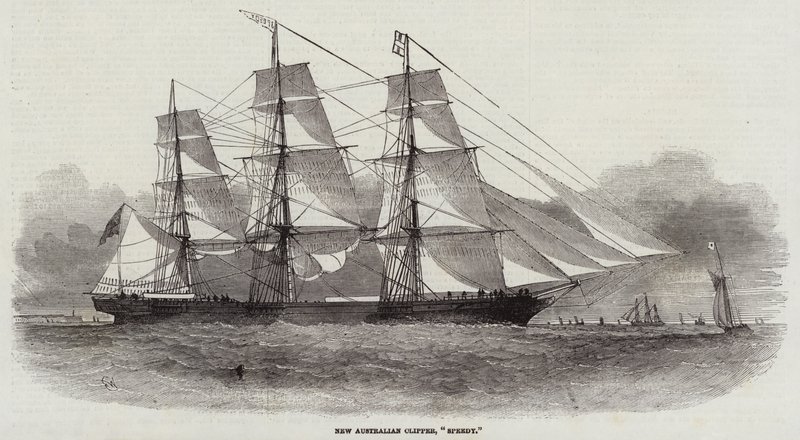 Nový australský Clipper, Speedy od Edwin Weedon