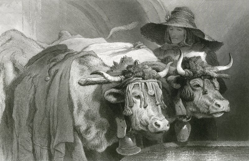 Voli u nádrže, Ženeva (rytina) od Edwin (after) Landseer