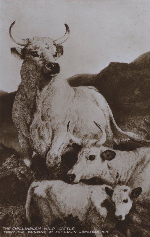 Závěsný od Edwin (after) Landseer