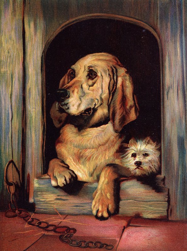 Důstojnost a drzost od Edwin Landseer