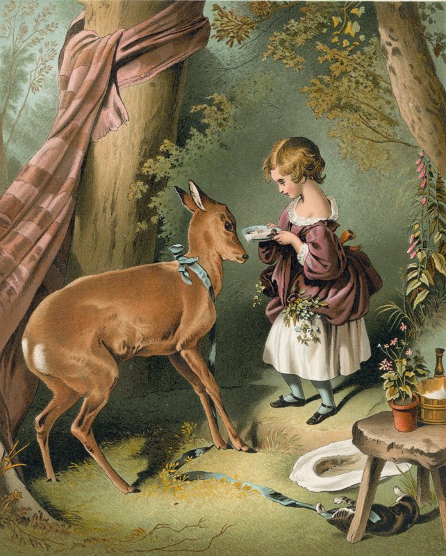 Dívka krmení jelena od Edwin Landseer