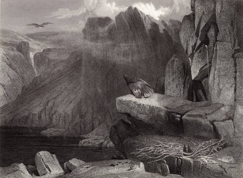 Orlí hnízdo od Edwin Landseer