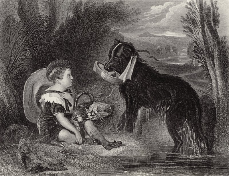 Přátelé od Edwin Landseer