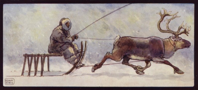 Laponec a sobí sáně (barevné lito) od Edwin Noble