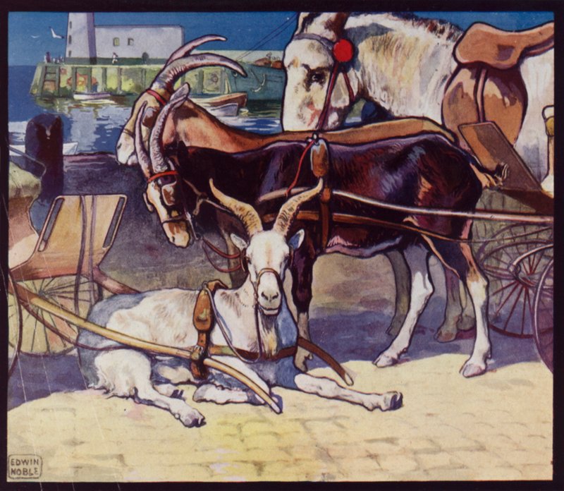 Kozí vozíky (barevné lito) od Edwin Noble