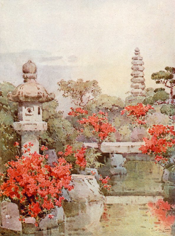 Azalky, Kyoto (barva litho) od Ella Du Cane