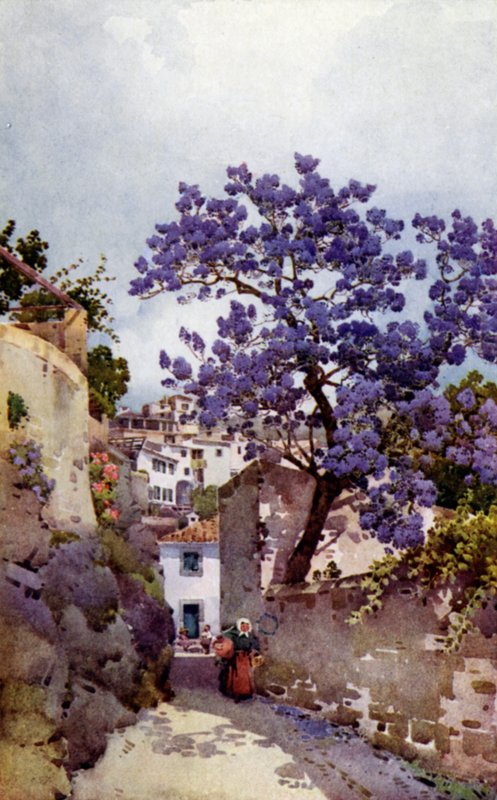 Jacaranda Tree (barva litho) od Ella Du Cane