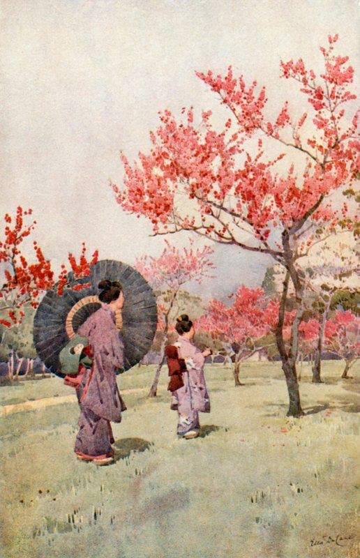 Peach Blossom (barva lito) od Ella Du Cane