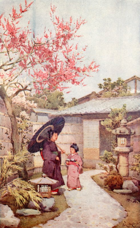Kobai Plum Blossom (barva lito) od Ella Du Cane