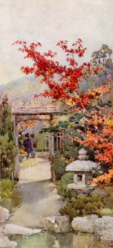 Scarlet Maple (barva lito) od Ella Du Cane