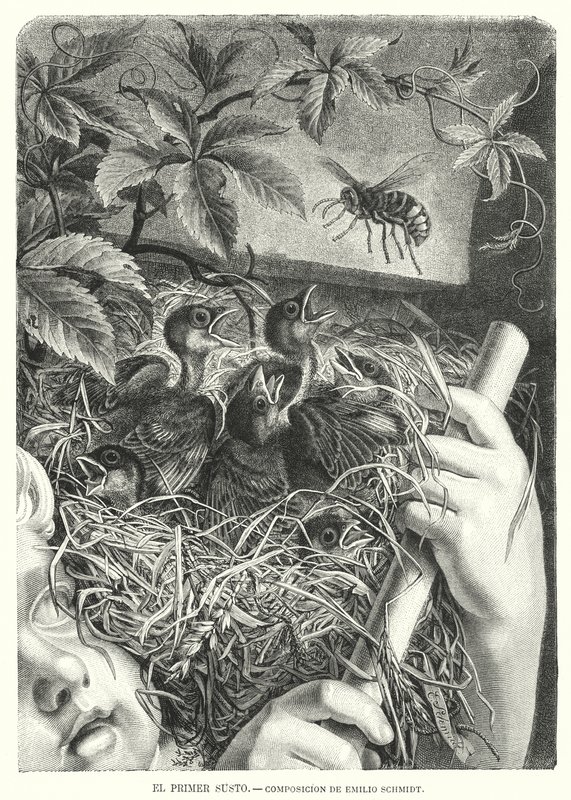 První zděšení (litho) od Emil (after) Schmidt