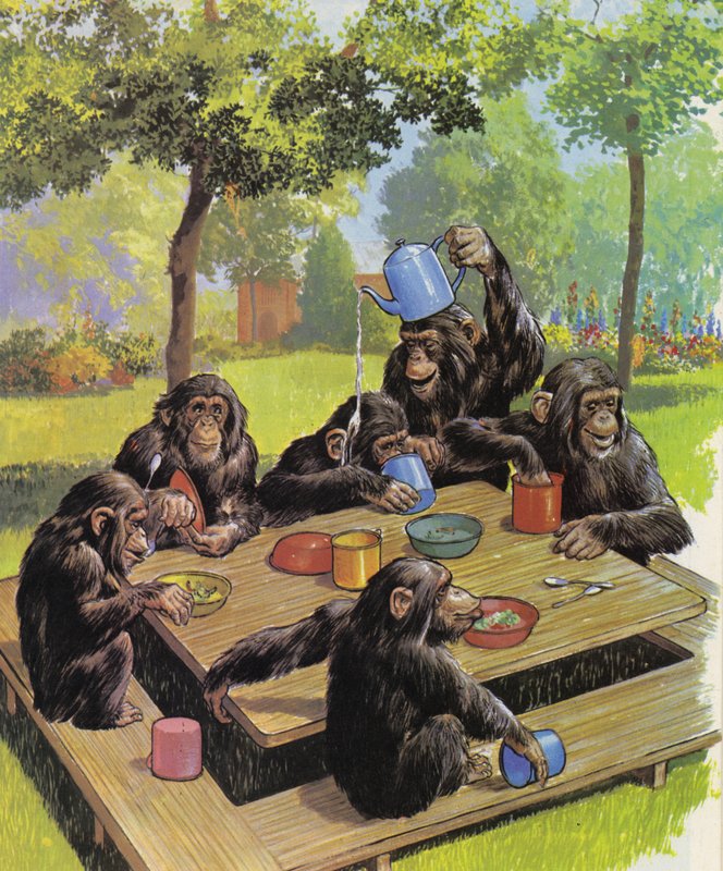 Šimpanzí čajový dýchánek v zoo od English School