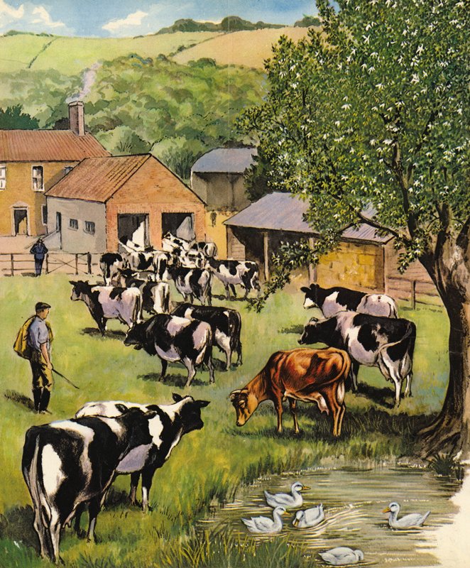 Mléčná farma, Anglie, 60. léta 20. století od English School