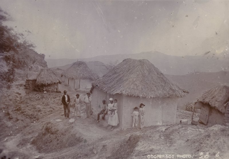Barbadoská vesnice na kopci, 1880 od English Photographer