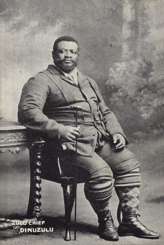 Cetshwayo kaMpande, král národa Zuluů od English Photographer