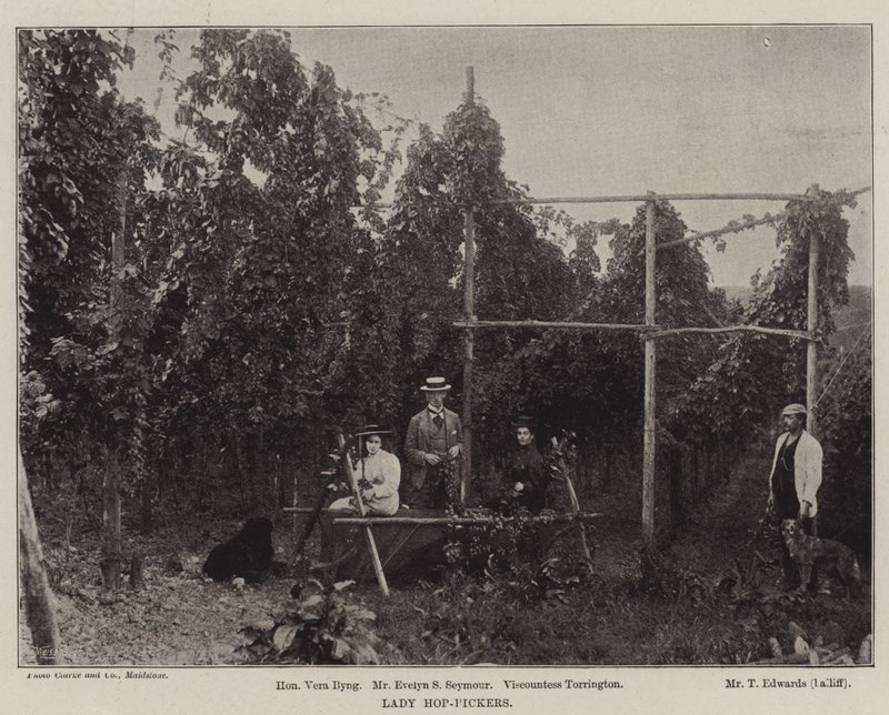 Lady Hop-Pickers od English Photographer