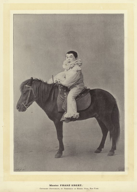 Mistr Franz Ebert od English Photographer