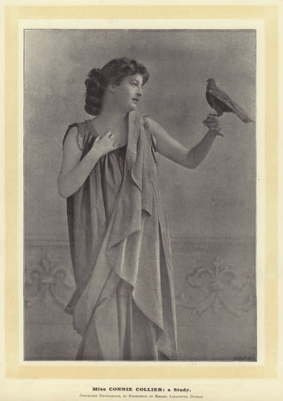 Slečna Connie Collier: Studie od English Photographer