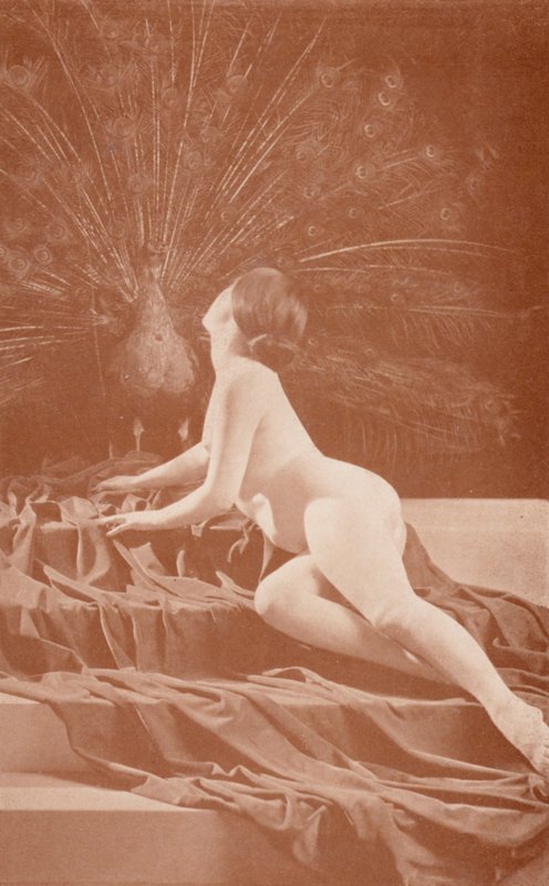 Nudistické umění: Závist (čb fotografie) od English Photographer