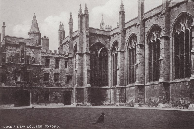 Quadrangle New College, Oxford od English Photographer