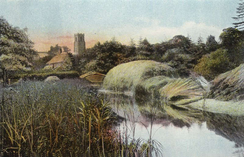 Reed Staithe, Ranworth od English Photographer