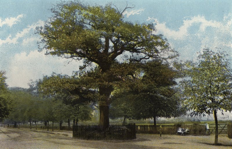 The Midland Oak, Leamington od English Photographer