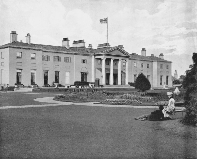 The Viceroy