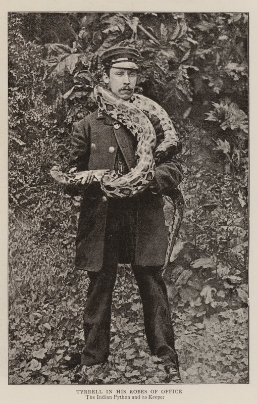 Tyrrell ve svém rouchu úřadu od English Photographer